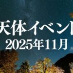 レス10番のリンク先のサムネイル画像