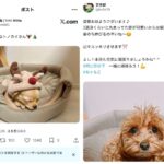 レス1番の画像1