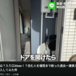 レス1番の画像1