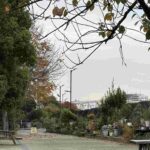 レス1番の画像4