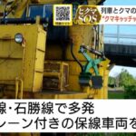 レス1番の画像2