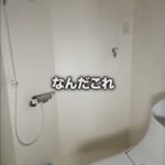 レス1番の画像4