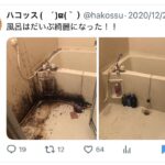 レス1番の画像1