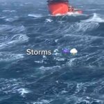 レス4番の画像1