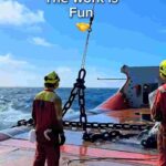 レス3番の画像2