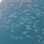 レス2番の画像2