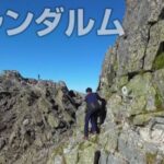 レス2番の画像6