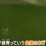 レス1番の画像3