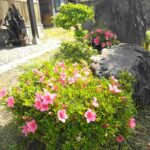 レス46番の画像1