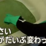 レス1番の画像2