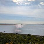 レス15番の画像1