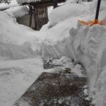 レス46番の画像3