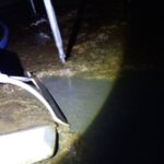 レス2番の画像1