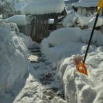 レス46番の画像4