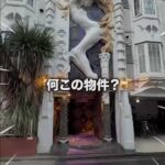 レス1番の画像2