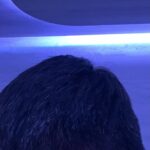 レス2番の画像1