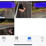 レス2番の画像1