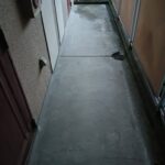 レス44番の画像1