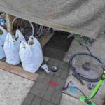 レス11番の画像9