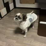 レス34番の画像1