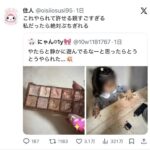 レス1番の画像3