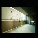 レス1番の画像8