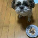 レス2番の画像2