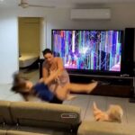 レス3番の画像1