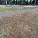 レス12番の画像1