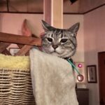 レス1番の画像3