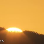 レス1番のリンク先のサムネイル画像