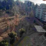 レス1番の画像17