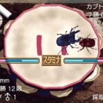 レス24番の画像4