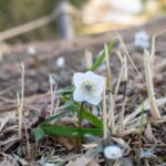 レス18番の画像3