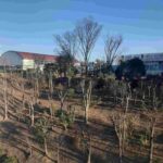 レス1番の画像16