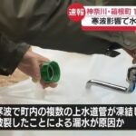 レス1番のリンク先のサムネイル画像