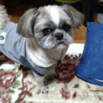 レス69番の画像1