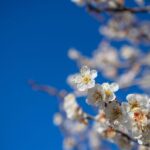 レス15番の画像3