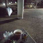 レス21番の画像1