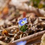 レス16番の画像1