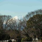 レス5番の画像2