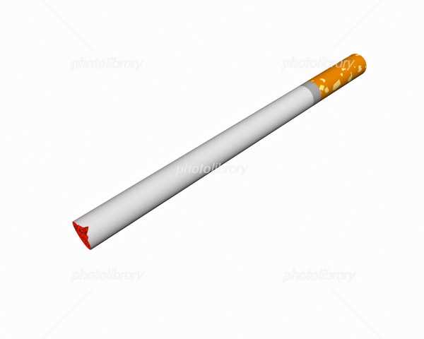 記事サムネイル