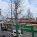 レス1番の画像2