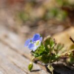 レス16番の画像2