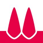 レス17番の画像5