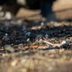 レス18番の画像1