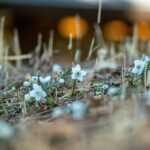 レス18番の画像2