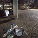 レス42番の画像1