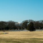 レス5番の画像1