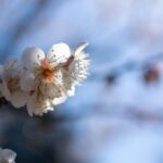 レス15番の画像1